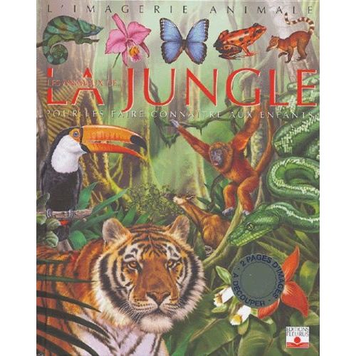 Les Animaux De La Jungle - Pour Les Faire Connaître Aux Enfants
