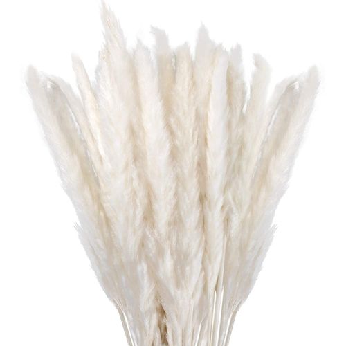 Herbe de la Pampa Sechees Decoration Lot de 30,Fleurs Séchées Naturelles 45cm Blanche, Fleur de Pampa pour Deco Salon,Chambre, Interieur,Maison,Cuisine,Domicile,Balcon (Vase Non Inclus)