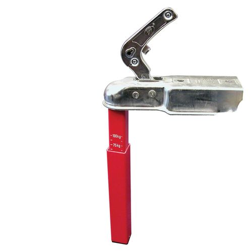 Mesure De Poids De Timon A 100kg -Par 125kg-