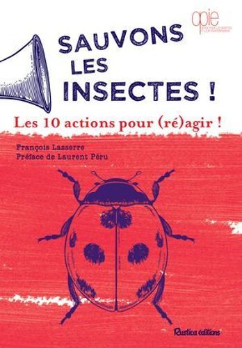 Sauvons Les Insectes ! Les 10 Actions Pour (Ré)Agir !