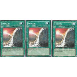 3x Tsunami Anpr-Fr056