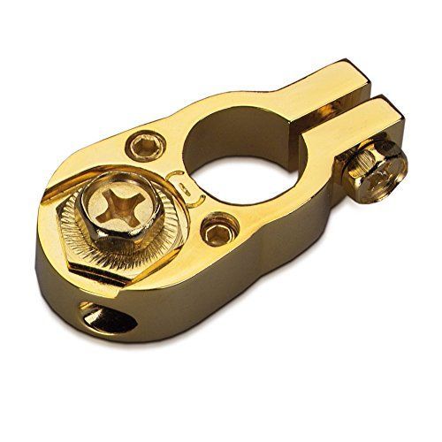 Bornes polaires de batterie Sinuslive BK 1- (L x l) 55 x 30 mm 1 pc(s)