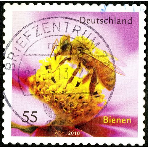 Timbre Oblitéré Deutschland, Bienen, 2010, 55