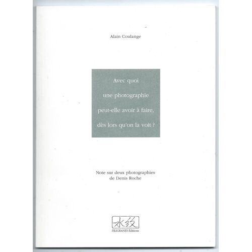 Avec Quoi Une Photographie Peut-Elle Avoir À Faire, Dès Lors Qu'on La Voit ? - 1998 .