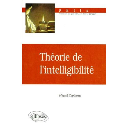 Théorie De L'intelligibilité