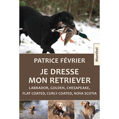 Je Dresse Mon Retriever - Labrador, Golden, Chesapeake, Flat Coated, Curly Coated, Nova Scotia