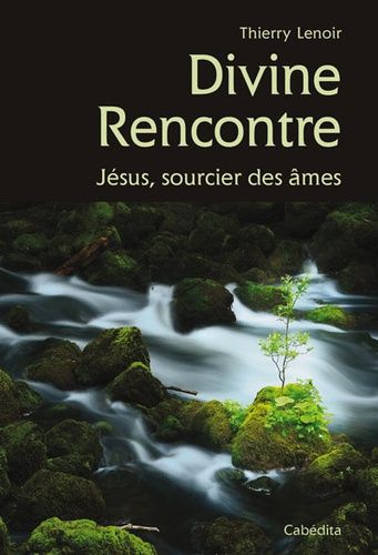 Divine Rencontre - Jésus, Sourcier Des Âmes