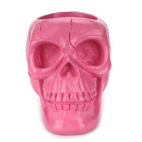 Pour Créatif Crâne Rose Ornement Squelette Stylo Porte Crayon De Bureau Organisateur De Maquillage Stockage