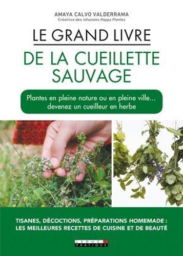 Le Grand Livre De La Cueillette Sauvage