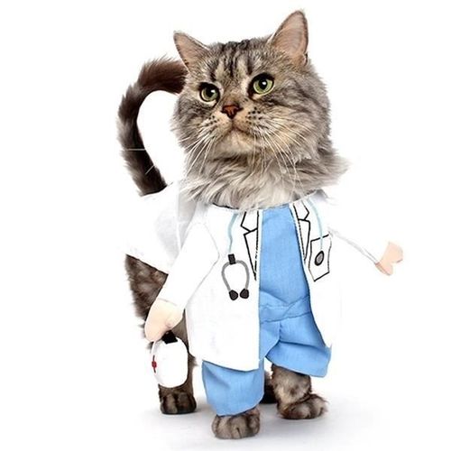 Costume Pour Chat Et Petite Chien Docteur Deguisement Vetement Animal