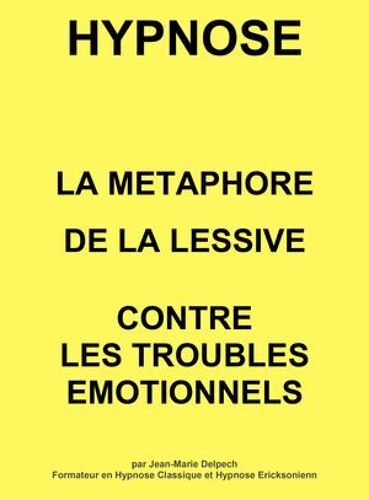 La Métaphore De La Lessive
