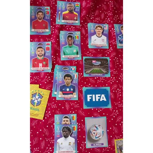 Lot De 5 Images Panini Qatar Coupe Du Monde 2022 