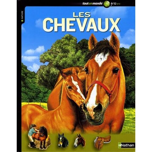 Les Chevaux