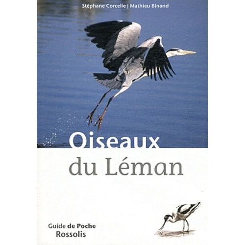 Oiseaux Du Léman