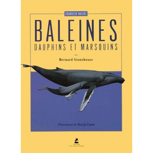 Les Baleines, Les Dauphins Et Les Marsouins