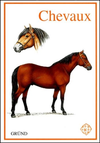 Chevaux