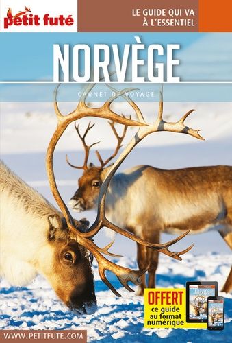 Norvège - Carnet De Voyage Petit Futé 2019