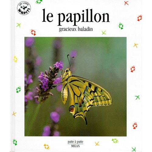 Le Papillon - Gracieux Baladin