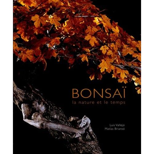 Bonsaï. La Nature Et Le Temps