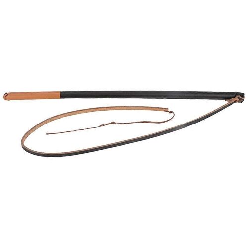 Laisse Pour Animaux De Compagnie En Cuir De Fouet De Dressage De Chien Pour Chien De Taille Moyenne (La Couleur Des Bandes D'extrémité Est Aléatoire)