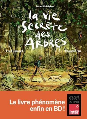 La Vie Secrète Des Arbres