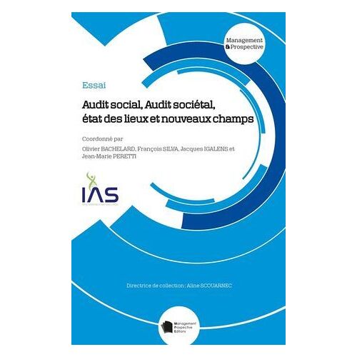 Audit Social, Audit Sociétal, État Des Lieux Et Nouveaux Champs