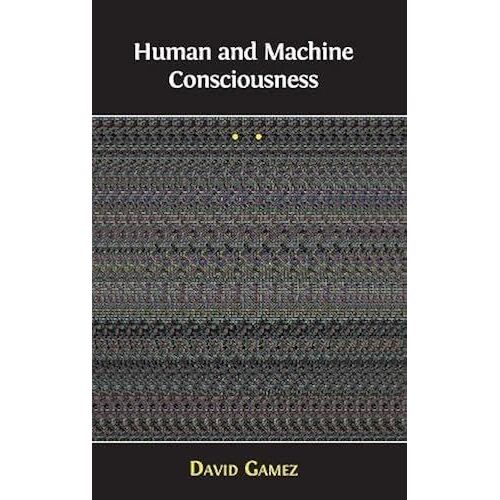 Human And Machine Consciousness