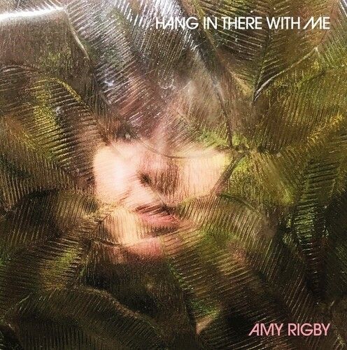 Amy Rigby - Hang In There With Me [Compact Discs]