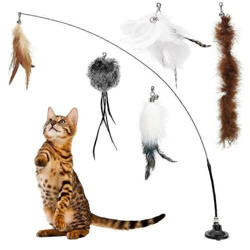Fournitures De Jouets De Chat Pour Chaton Jouer Chase Exercice Ventouse Durable Creative 6pcs / Set Drôle D'interaction Feather Bird