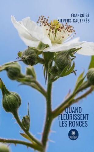 Quand Fleurissent Les Ronces
