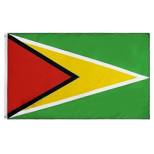 Drapeau de la Guyane pliable Guyane drapeau parure remplaçable grand drapeau de pays bannière drapeau de la Guyane