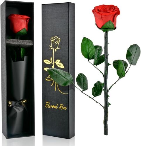 Rouge rose éternelle avec tige cadeau femme, véritable fleursRose infini en boîte, cadeau pour femme, rose stabilisé pour maman, petite amie, Saint-Valentin, fête des mères
