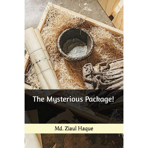 The Mysterious Package!
