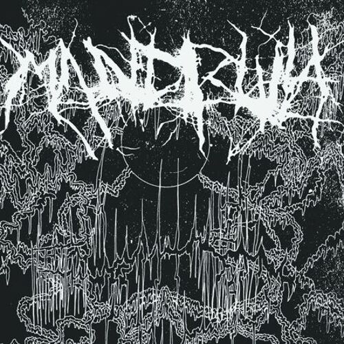 Self Devourment - Vinyle 33 Tours
