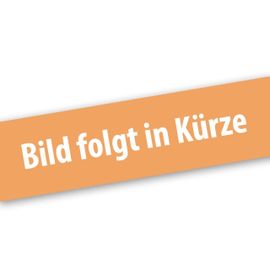 Ponceuse delta sans fil 20V - FUXTEC - FX-E1MS20 SET avec 1 x batterie 2Ah, 1 x chargeur 1A