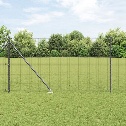 Vidaxl Clôture Euro Avec 13 Pieux Ancrés 1x25 M Acier Galvanisé Gris