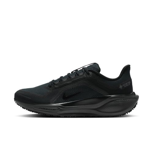 Chaussure De Running Sur Route Imperméable Nike Pegasus 41 Gore Noir/anthracite/noir Fq1356001