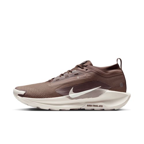 Chaussures De Trail Imperméable Nike Pegasus Trail 5 Gorestex Sp Pour Marron