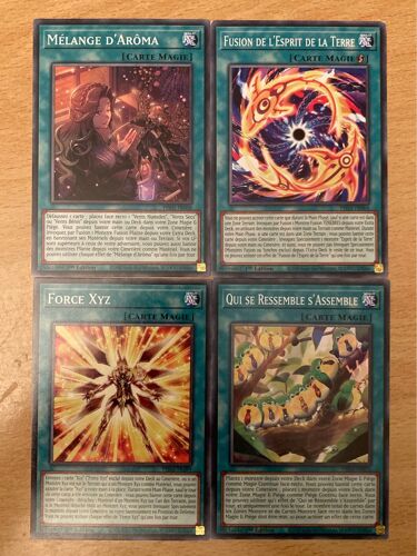 (374) Mélange D’Aroma + Fusion De L’Esprit De La Terre + Force Xyz + Qui Se Ressemble S’Assemble (Yu Gi Oh) 