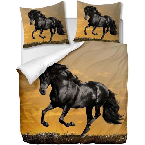 Parure De Lit Pi¿¿Ces Avec Housse De Couette Et Taies D'oreiller,Cheval Noir, X Cm / X Cm X ,Multi
