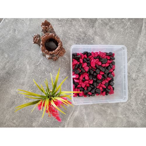 Décorations Pour Aquarium