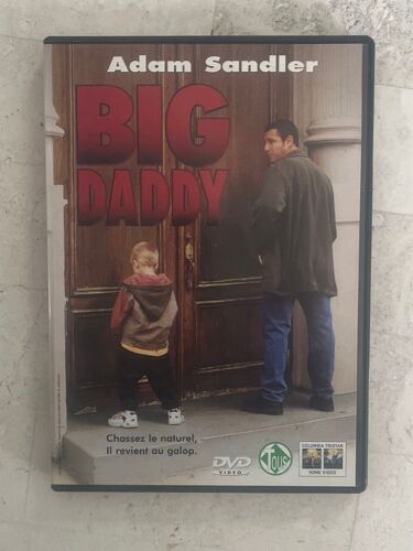 Big Daddy (Dvd) 