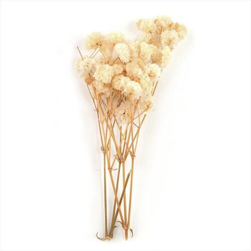 Gypsophile Bouquet de fleurs séchées Accessoires pour les cadeaux de la Saint-Valentin Décor de verdure 1blanc