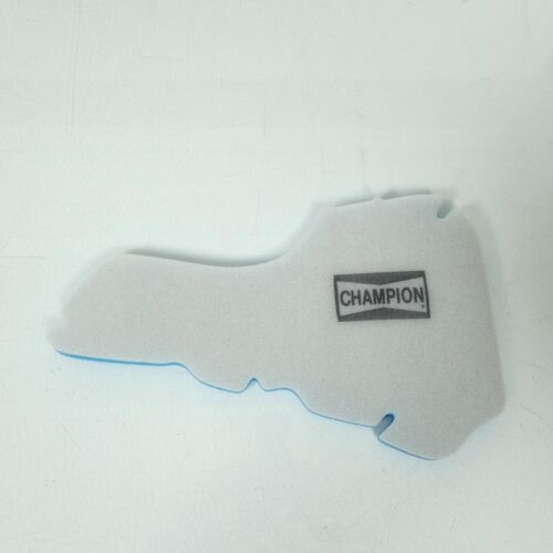 Filtre À Air Champion Pour Scooter Italjet 125 Torpedo 4t Lc 1999 À 2003 Neuf