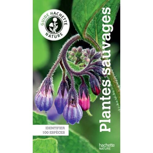 Le Guide Hachette Nature Des Plantes Sauvages