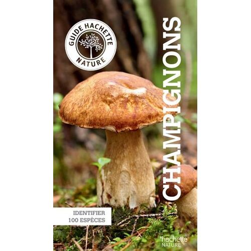 Le Petit Guide Hachette Des Champignons
