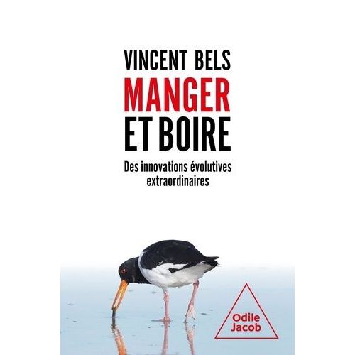 Manger Et Boire - Des Innovations Évolutives Extraordinaires