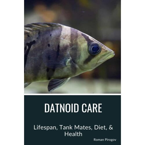 Datnoid Care: Lifespan, Tank Mates, Diet, & Health