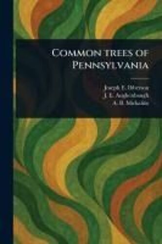Common Trees Of Pennsylvania