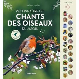 Reconnaître Les Chants Des Oiseaux Du Jardin - 21 Oiseaux À Écouter